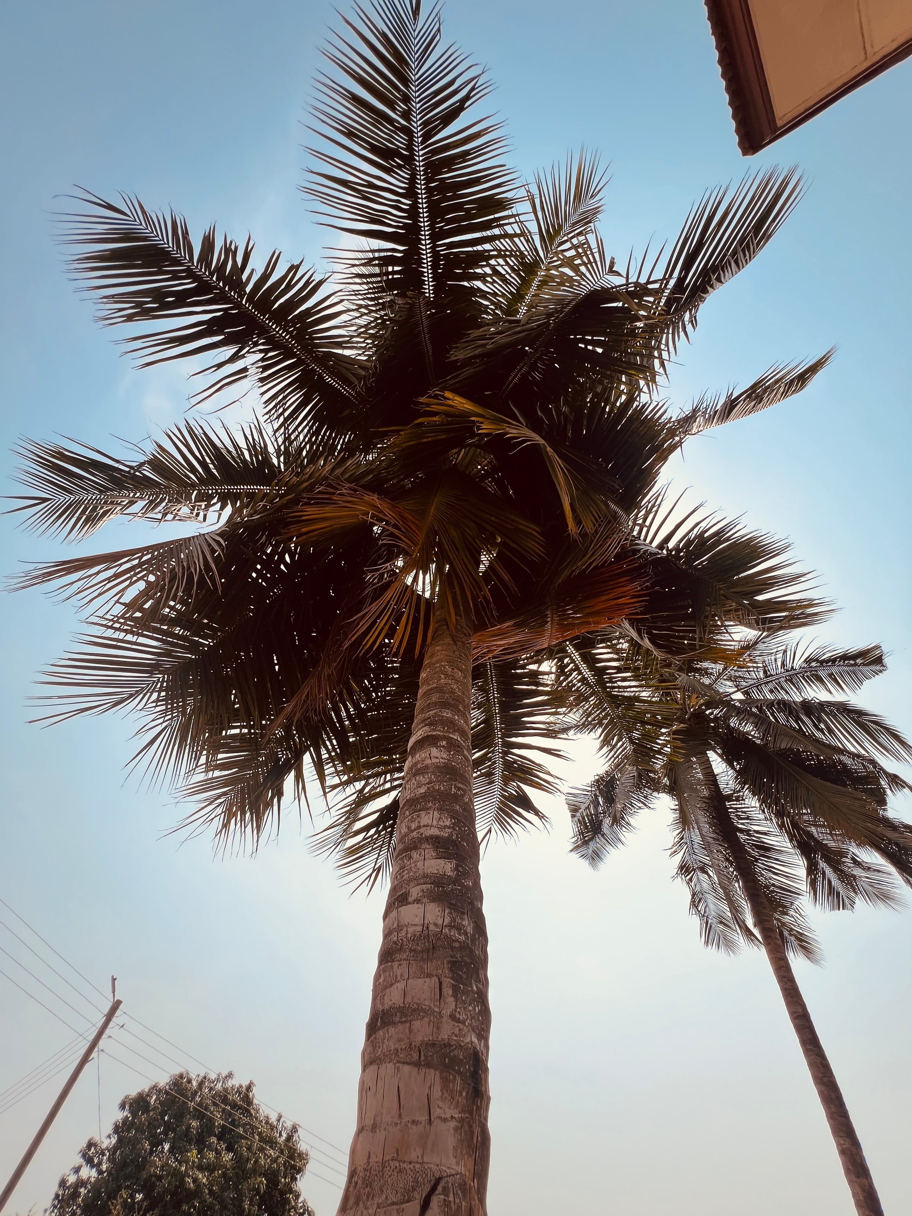 A Time in Ghana