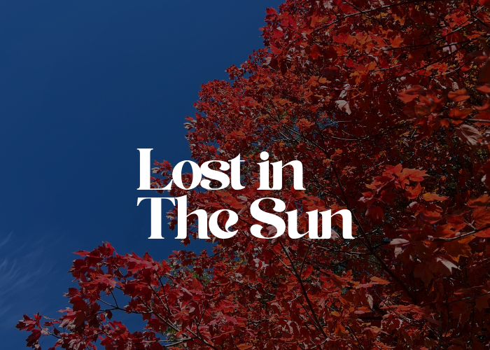 Lost in The Sun